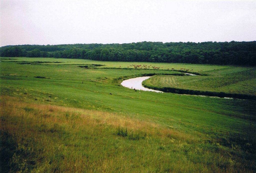 Tollense riverbank