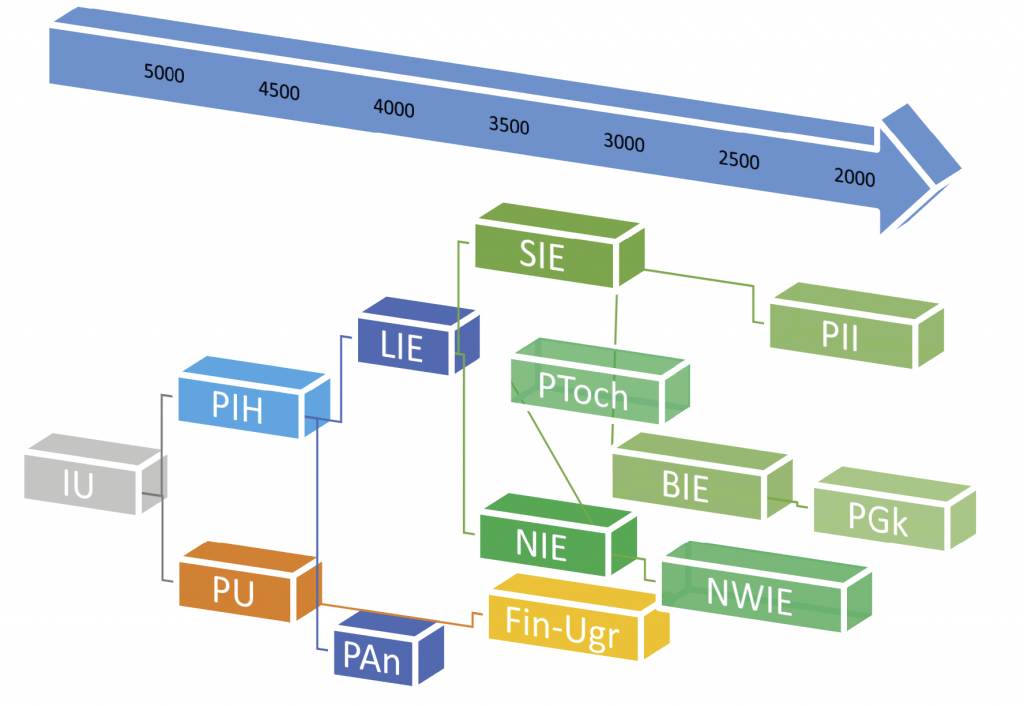 proto-indo-european-stages