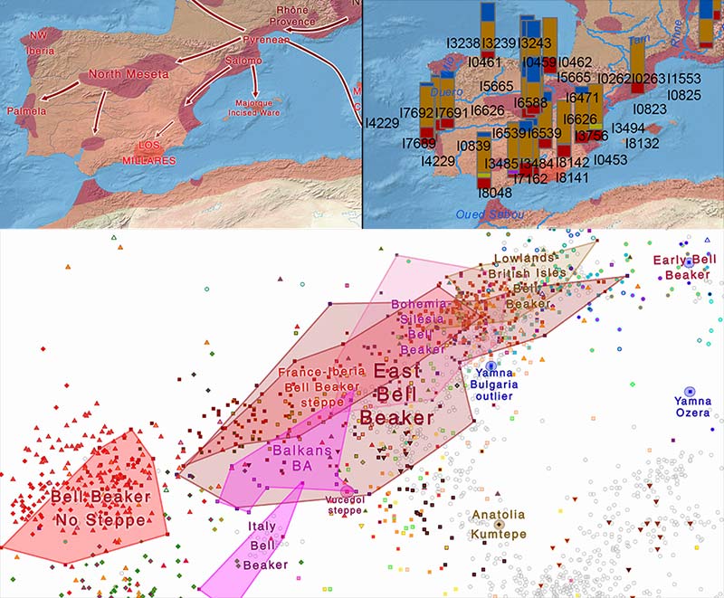 iberia-bell-beakers-steppe